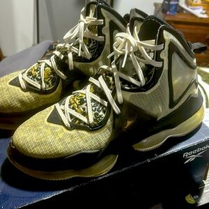 Lebron 19 - size 11.5 US - cheetah & gold - used - good condition